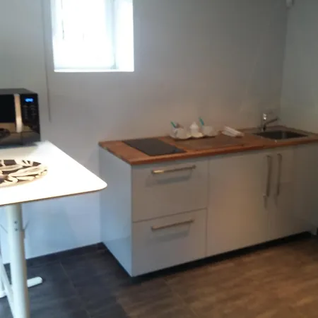 Au Bord De La Sevre Nantaise Апартаменты La Haie-Fouassiere